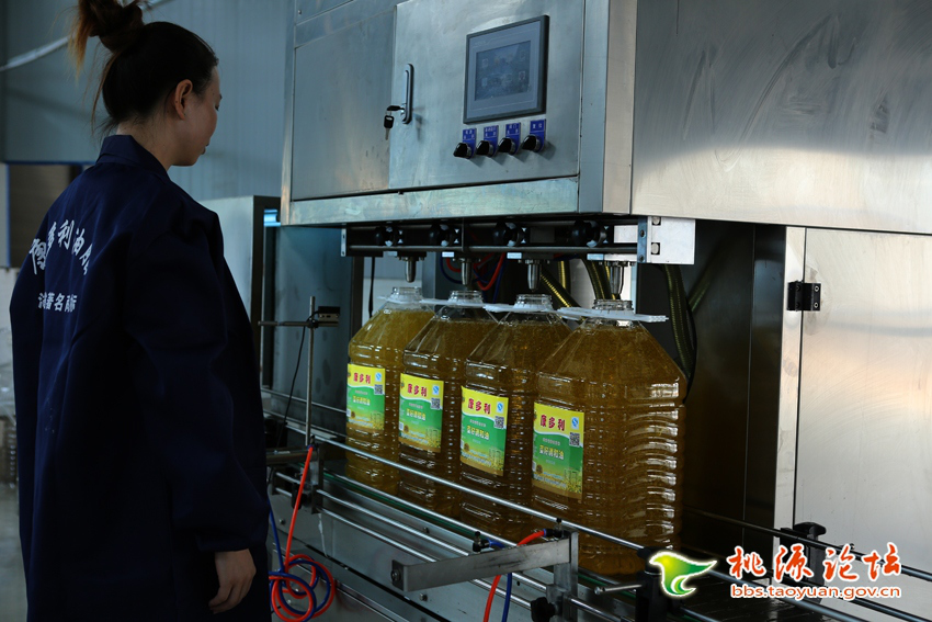 xh6388新濠天地,油茶种植生产加工销售,植物油种植生产加工销售
