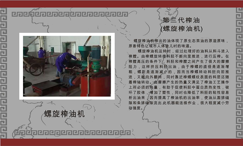 xh6388新濠天地,油茶种植生产加工销售,植物油种植生产加工销售