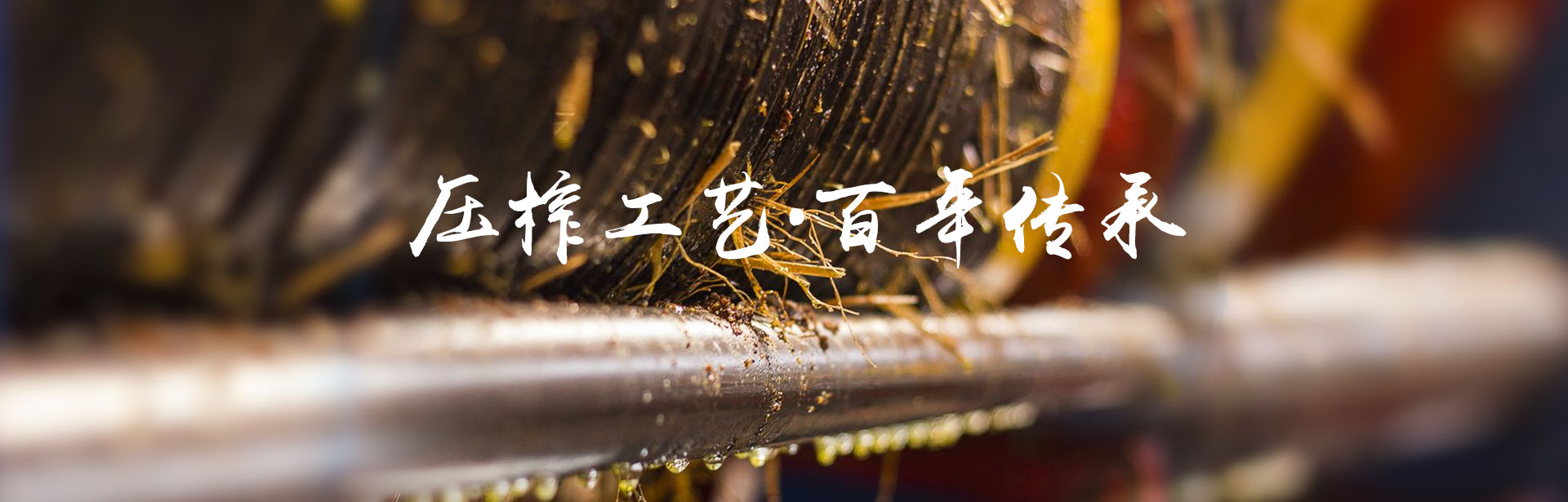 xh6388新濠天地_油茶种植生产加工销售|植物油种植生产加工销售