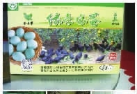 xh6388新濠天地,油茶种植生产加工销售,植物油种植生产加工销售