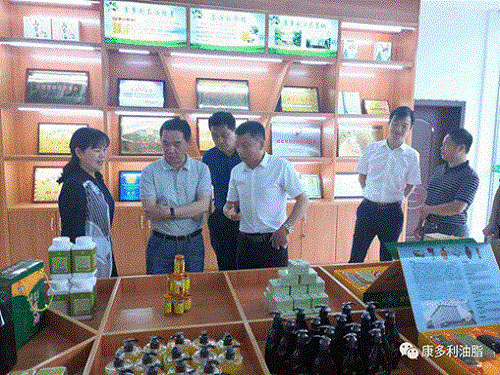 xh6388新濠天地,油茶种植生产加工销售,植物油种植生产加工销售